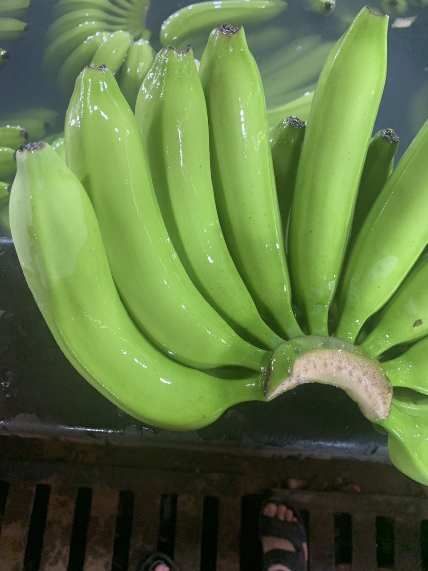 Premium Cavendish banana cluster detail, Class A export grade