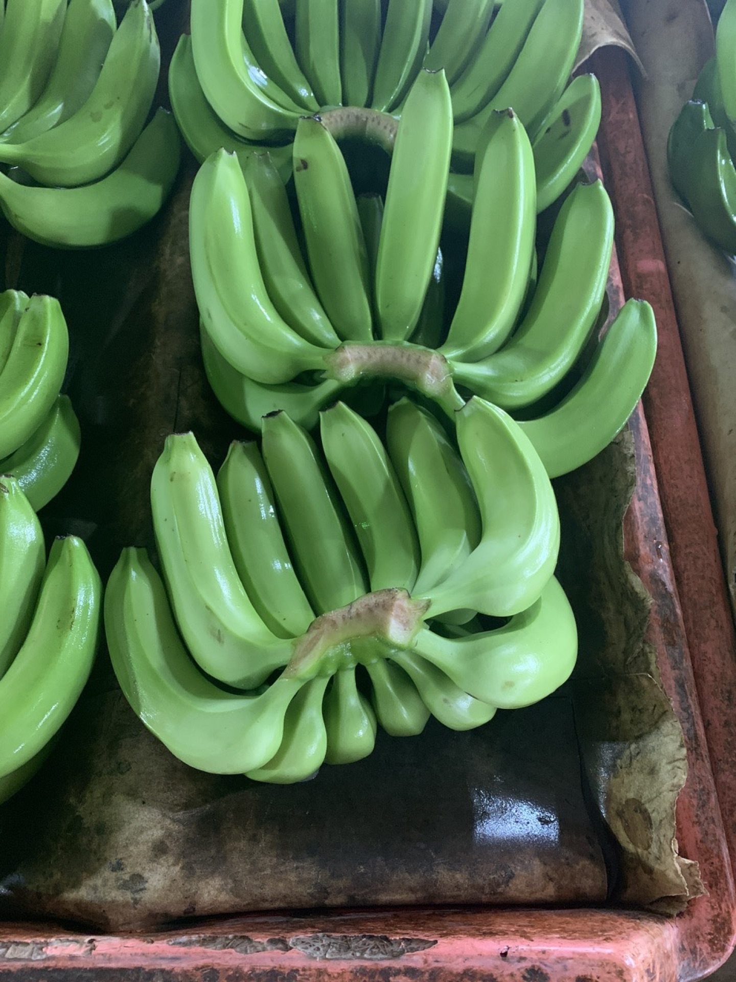 Sorted banana clusters in crate ready for packing
