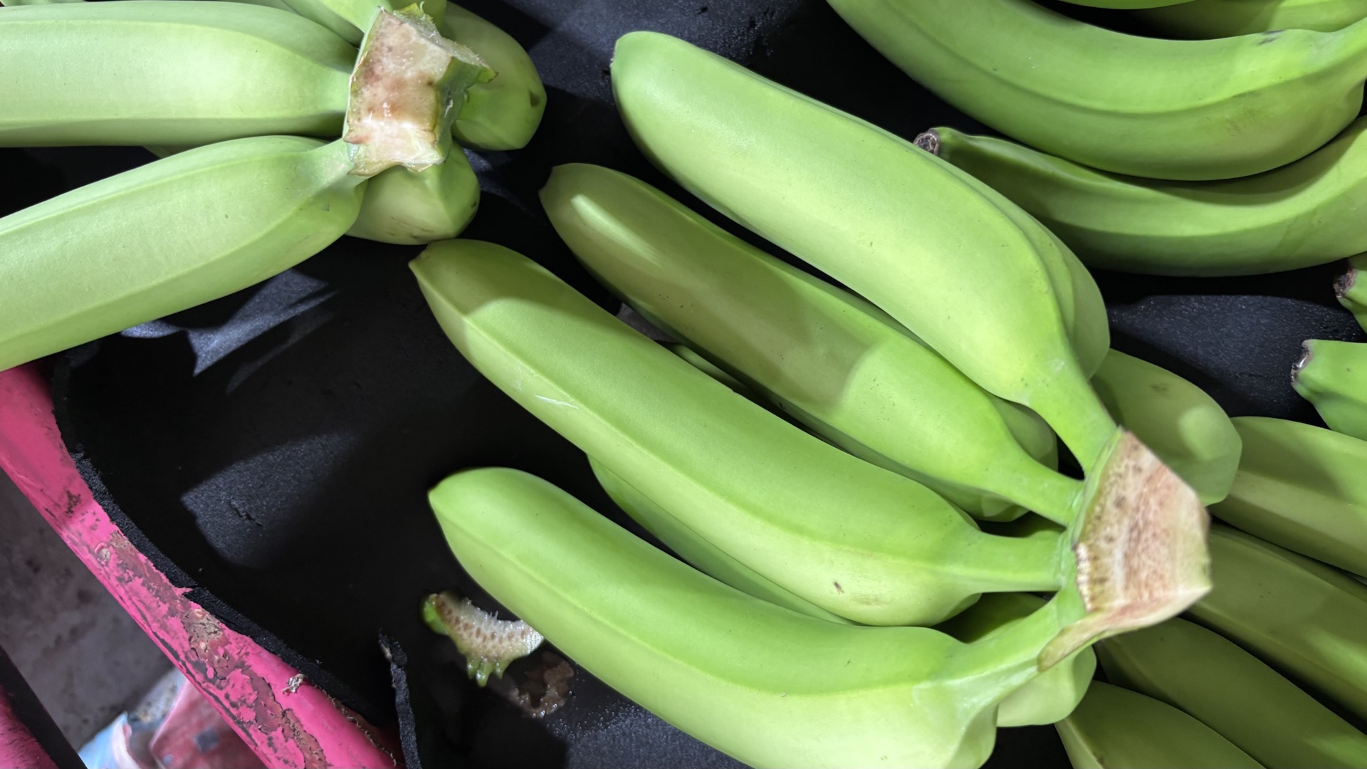 CL Class B cluster inspection — crown detail