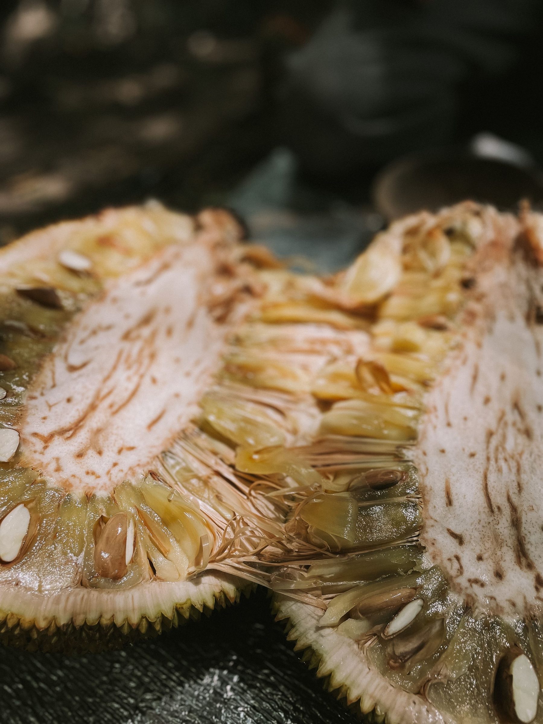 Fresh jackfruit cut open showing bulbs and seeds