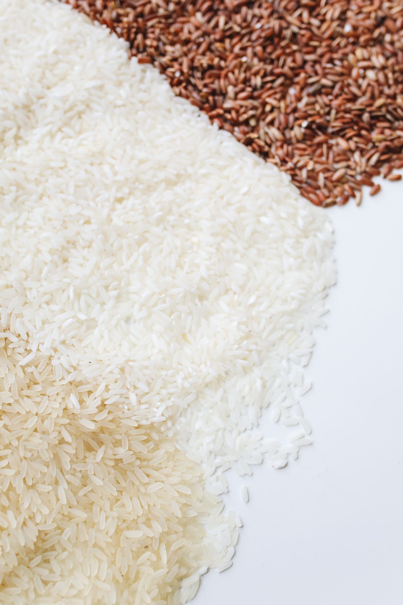 Heap of milk-white rice grains beside red rice